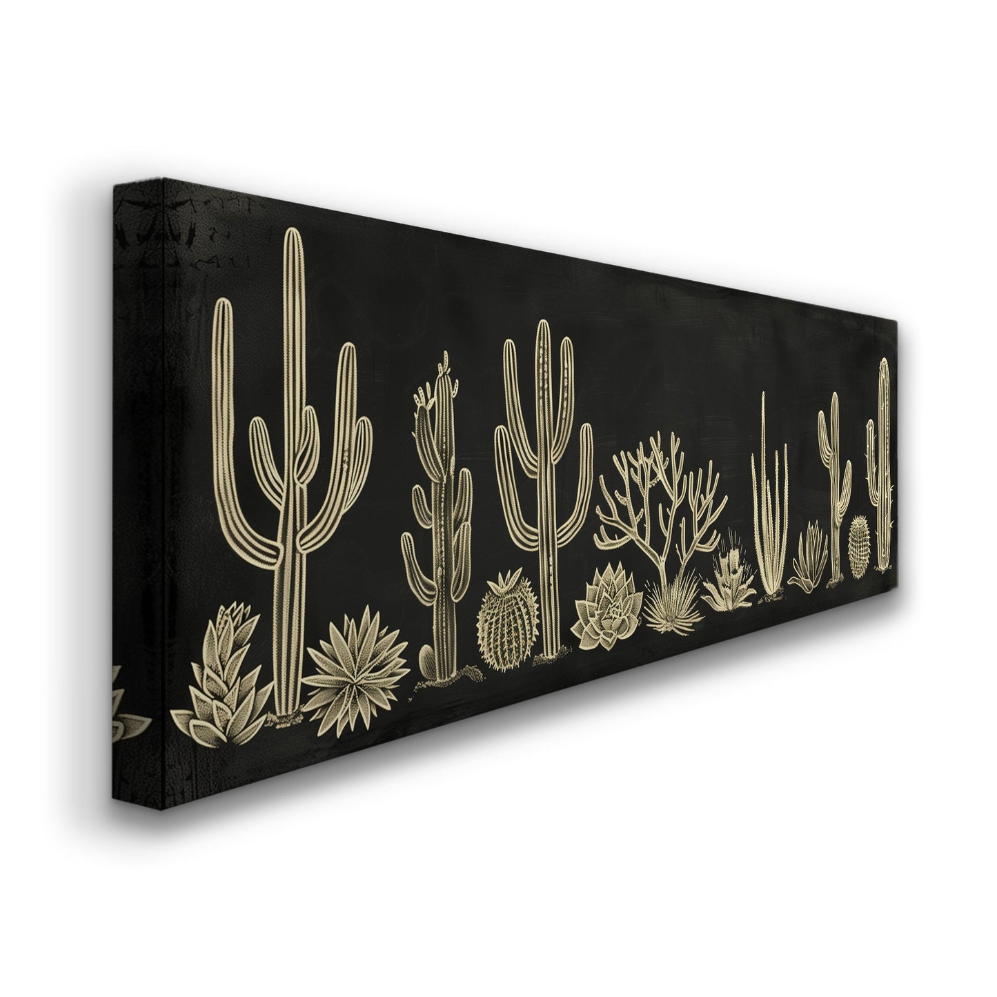 Succulent Cactus Chalk Drawing Long Horizontal Wall Art For Living Room, Panoramic Minimalist Canvas Print, Illustration Decor Canvas Art